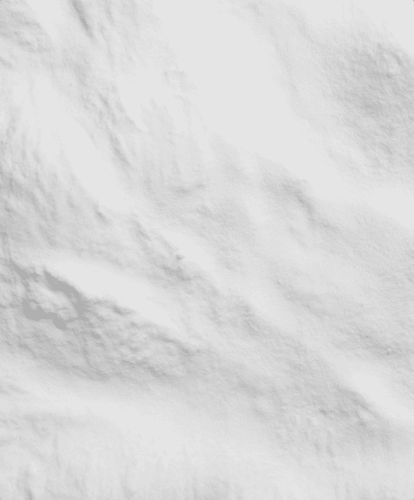 Sodium alginate (Phaeophycota)