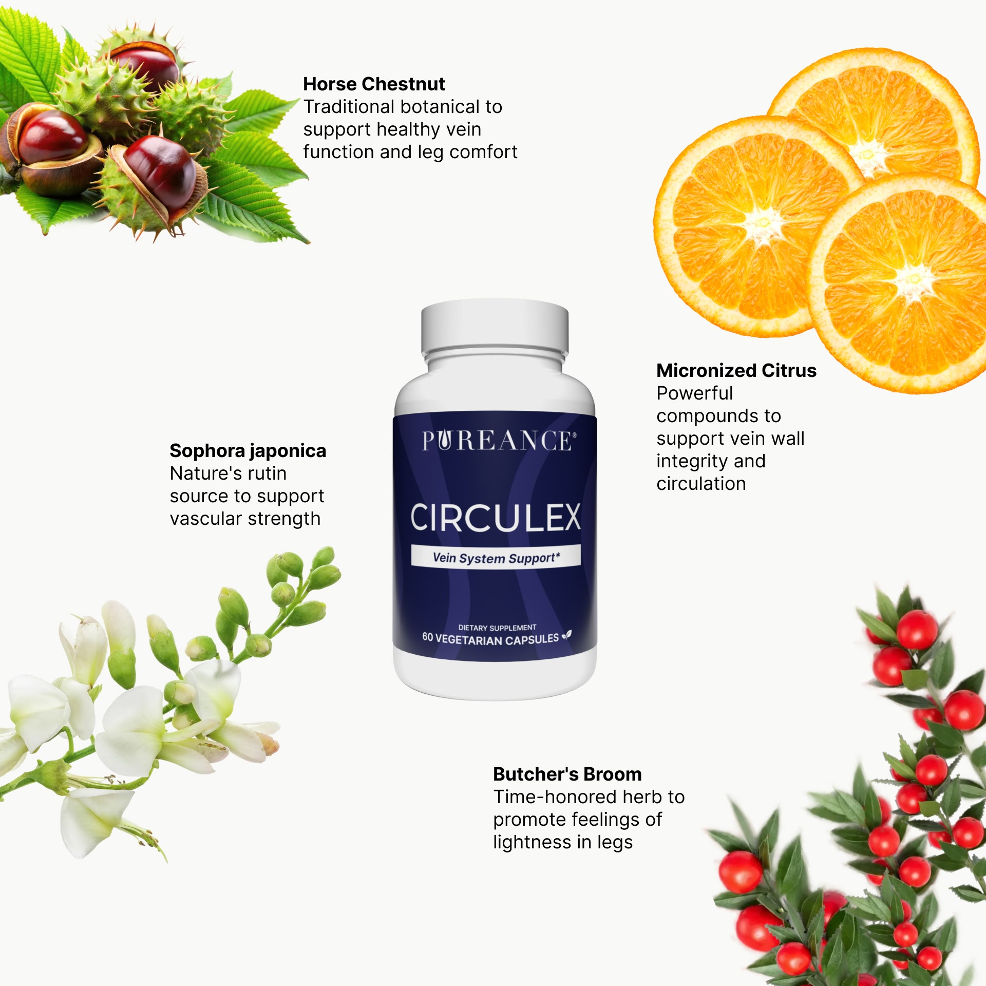 Key ingredients in Circulex vein health supplement