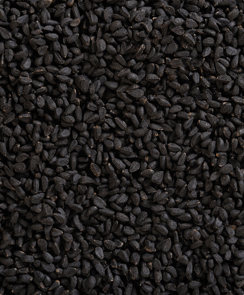 Black Seed