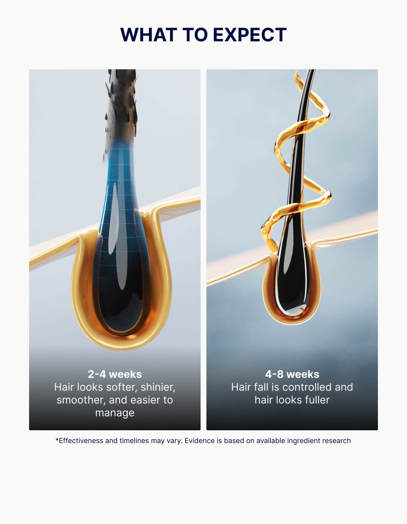 Hair follicle visuals showing results after 2–8 weeks