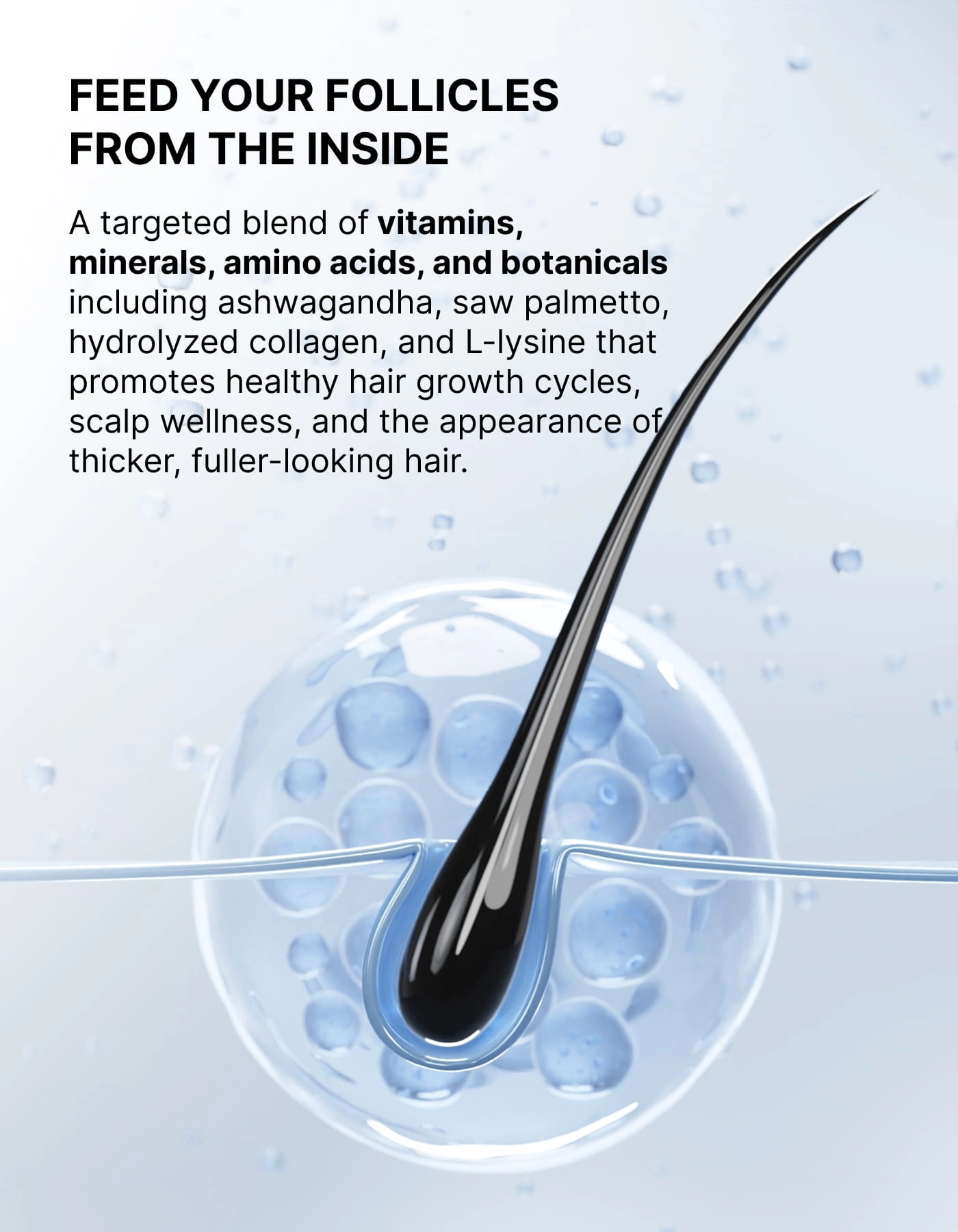 Hair nutrition graphic for fuller-looking strands