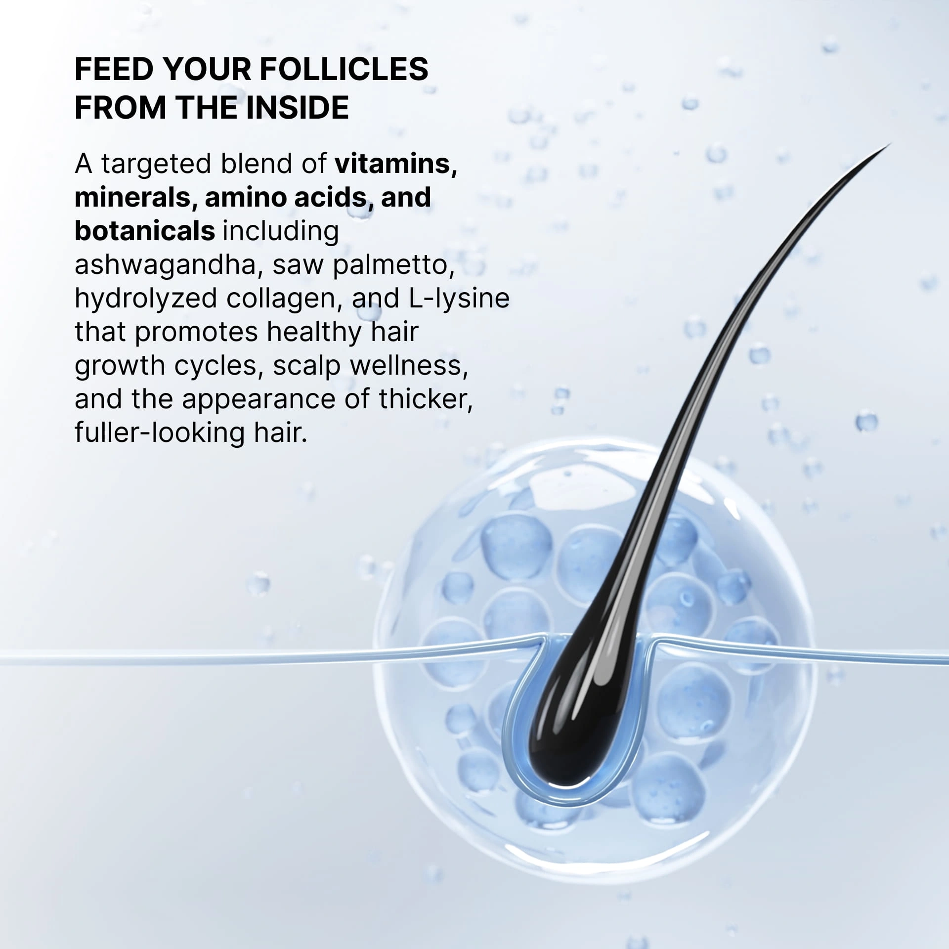 Hair nutrition graphic for fuller-looking strands