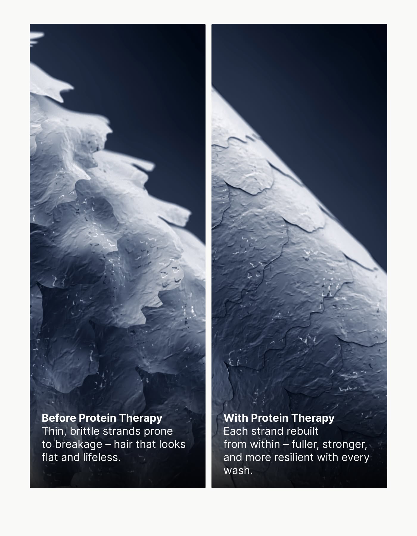 Before and after protein therapy comparison for fuller-looking hair