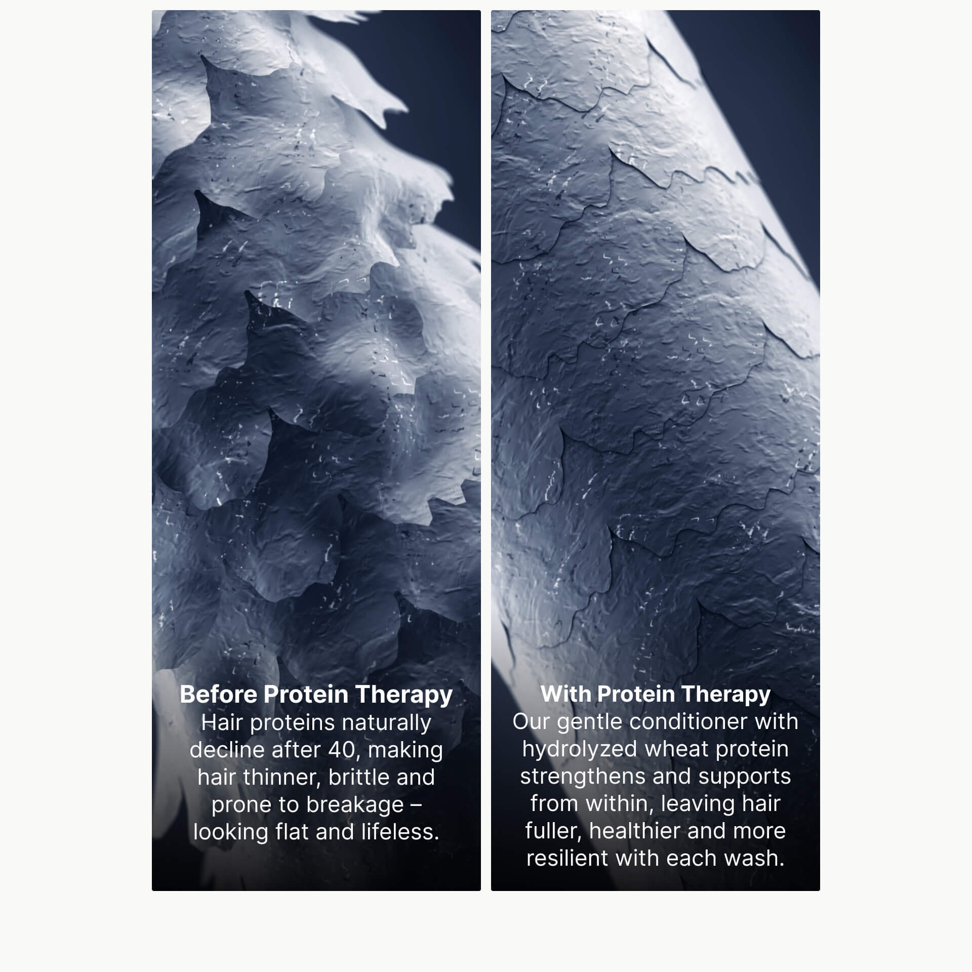 Before and after protein therapy on hair strands