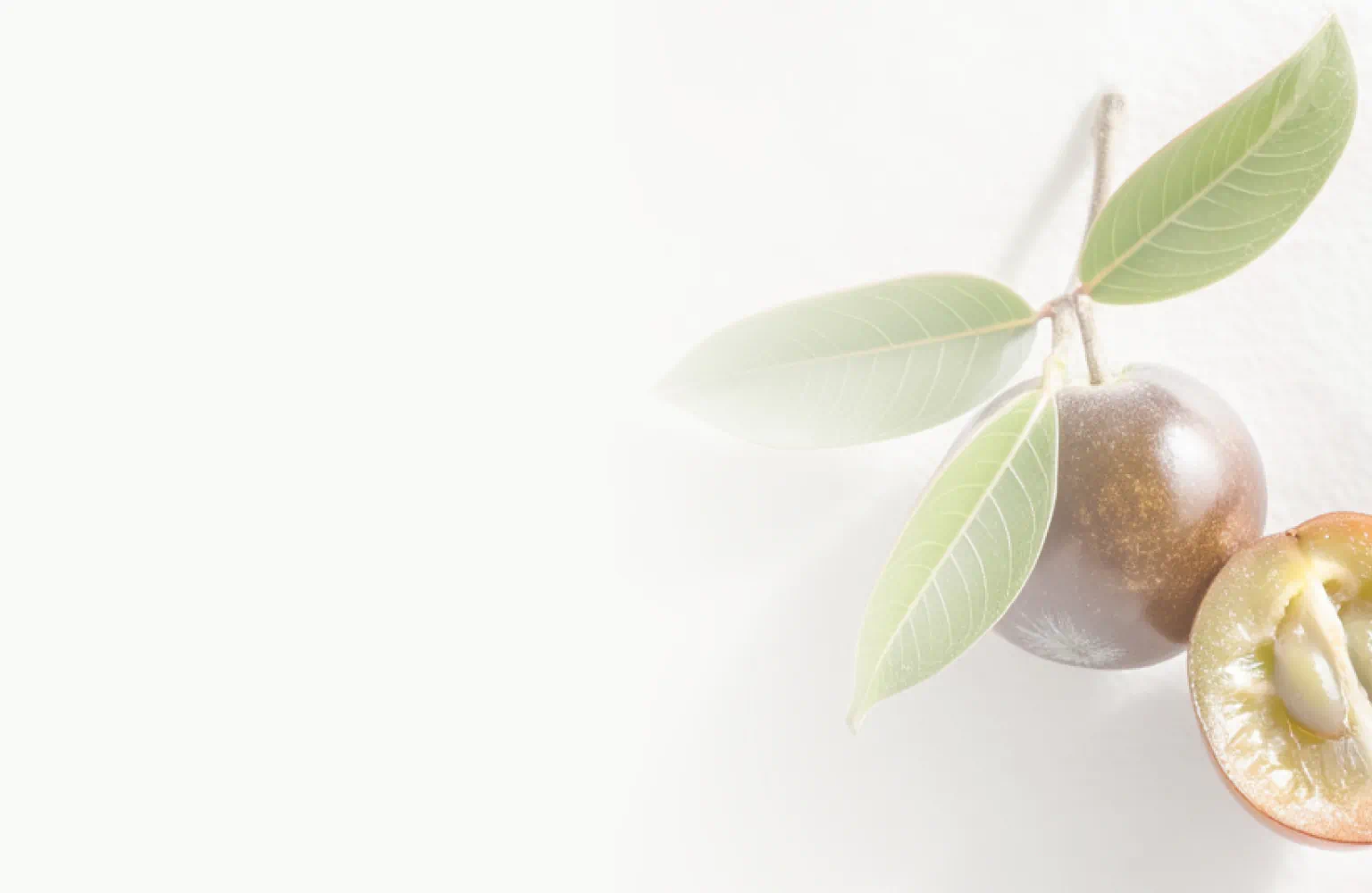 Whole and halved Camu Camu berries with green leaves