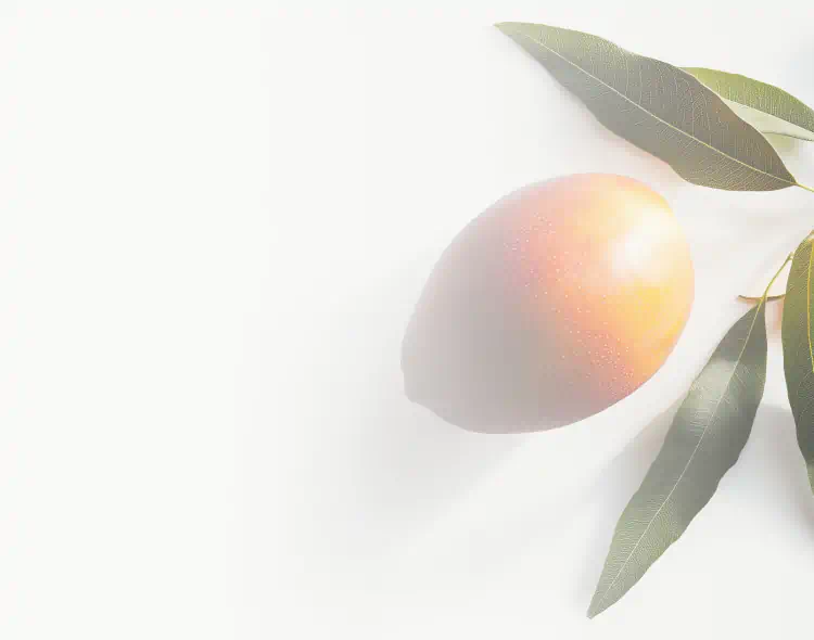 Ripe mango with green leaves, illustrating its role in hydrating skincare as mango seed butter