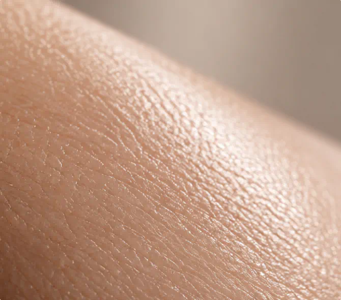 Firmer skin texture after using Pureance peptide cream