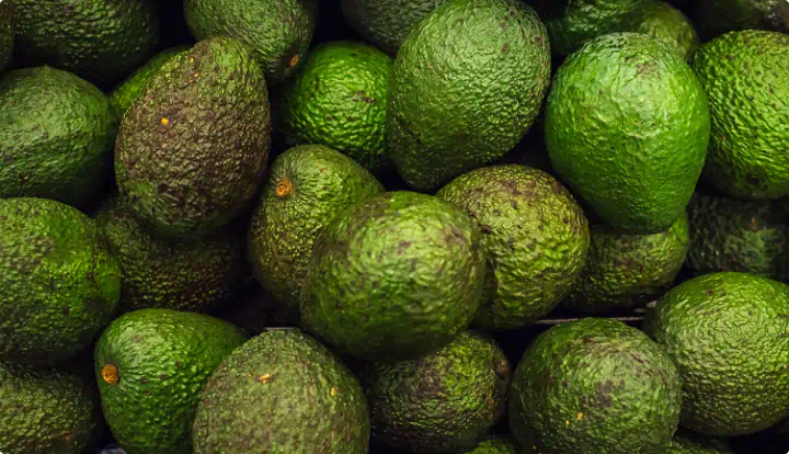 Avocado Oil
