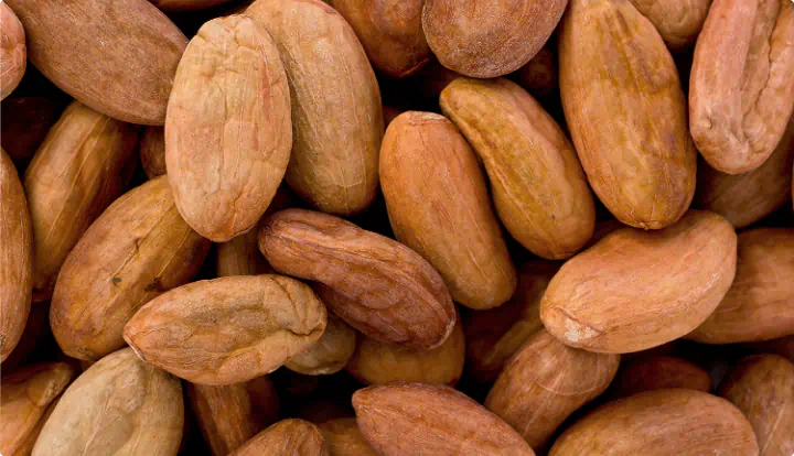 Cacao Seed Butter