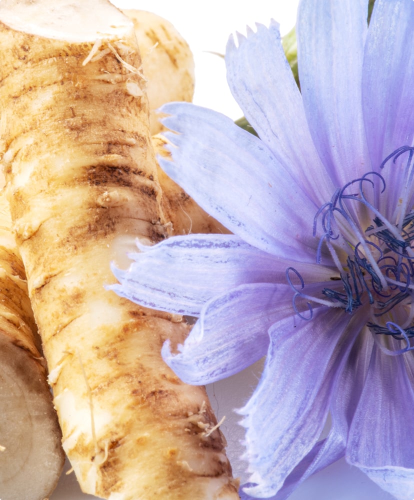 Inulin from Jerusalem Artichoke and Chicory Root (850mg)